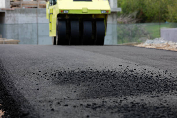 Best Custom Driveway Pavers  in Loch Lomond, VA